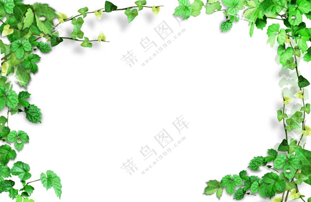攀爬植物藤蔓装饰边框免抠图片素材