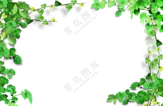 攀爬植物藤蔓装饰边框免抠图片素材