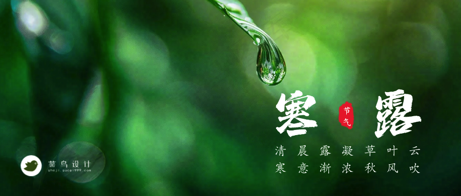 寒露公众号首图
