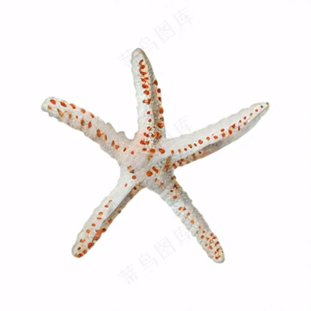 海星海洋生物卡通插画免抠