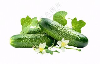 青瓜黄瓜蔬菜免抠