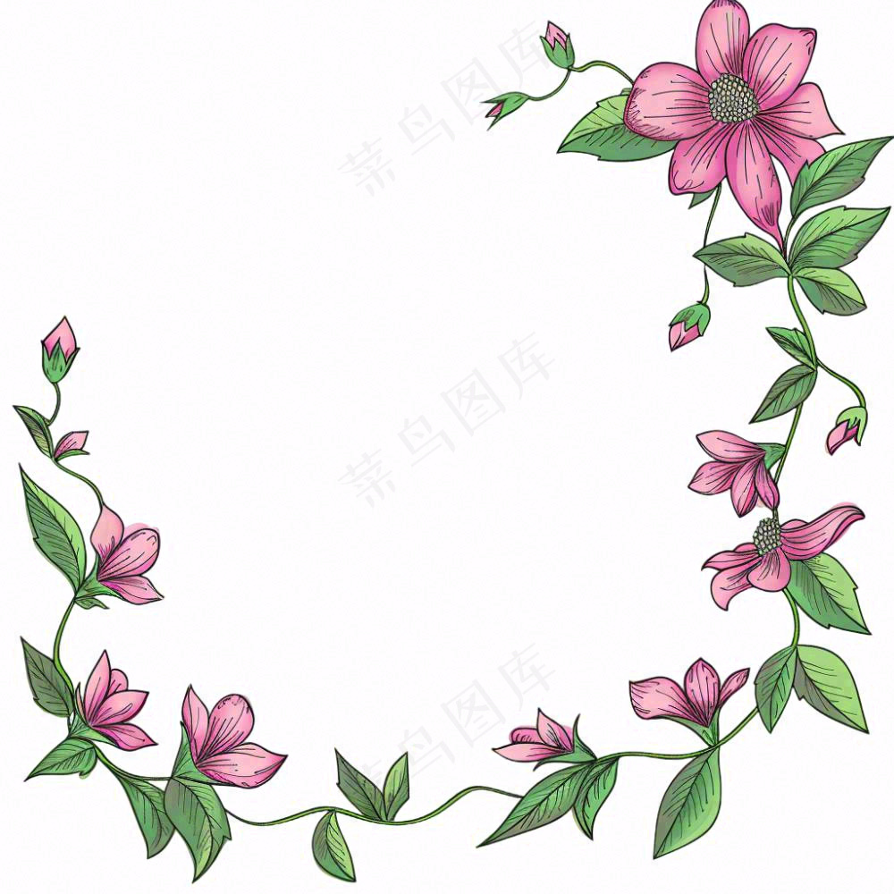 花边边框植物小清新卡通插画免抠