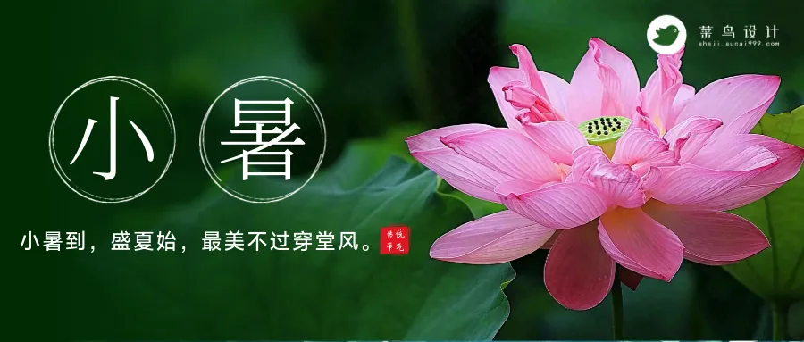 小暑公众号首图