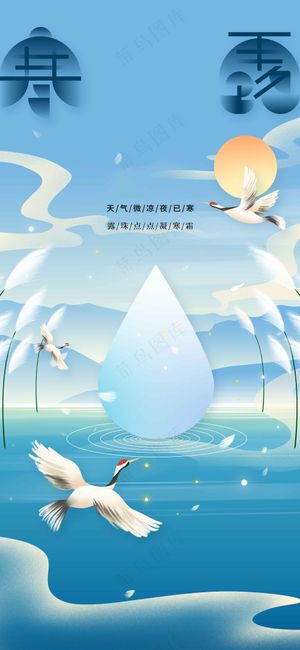 寒露节气传统活动宣传海报