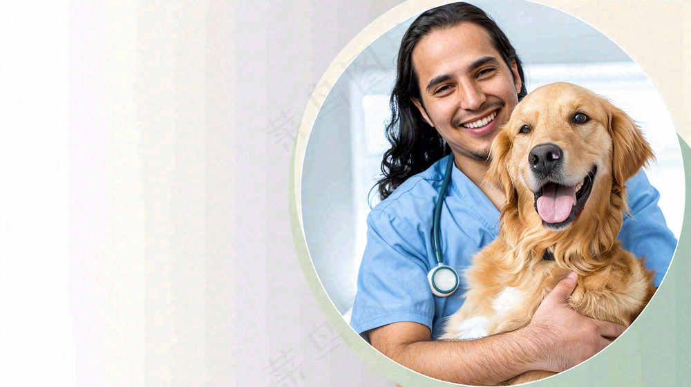 宠物医院猫狗生病救治摄影图