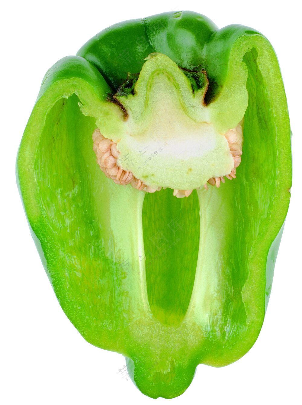 蔬菜切面图片 (26)