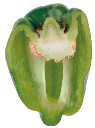 蔬菜切面图片 (26)