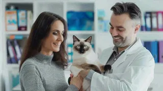 宠物医院猫狗生病救治摄影图