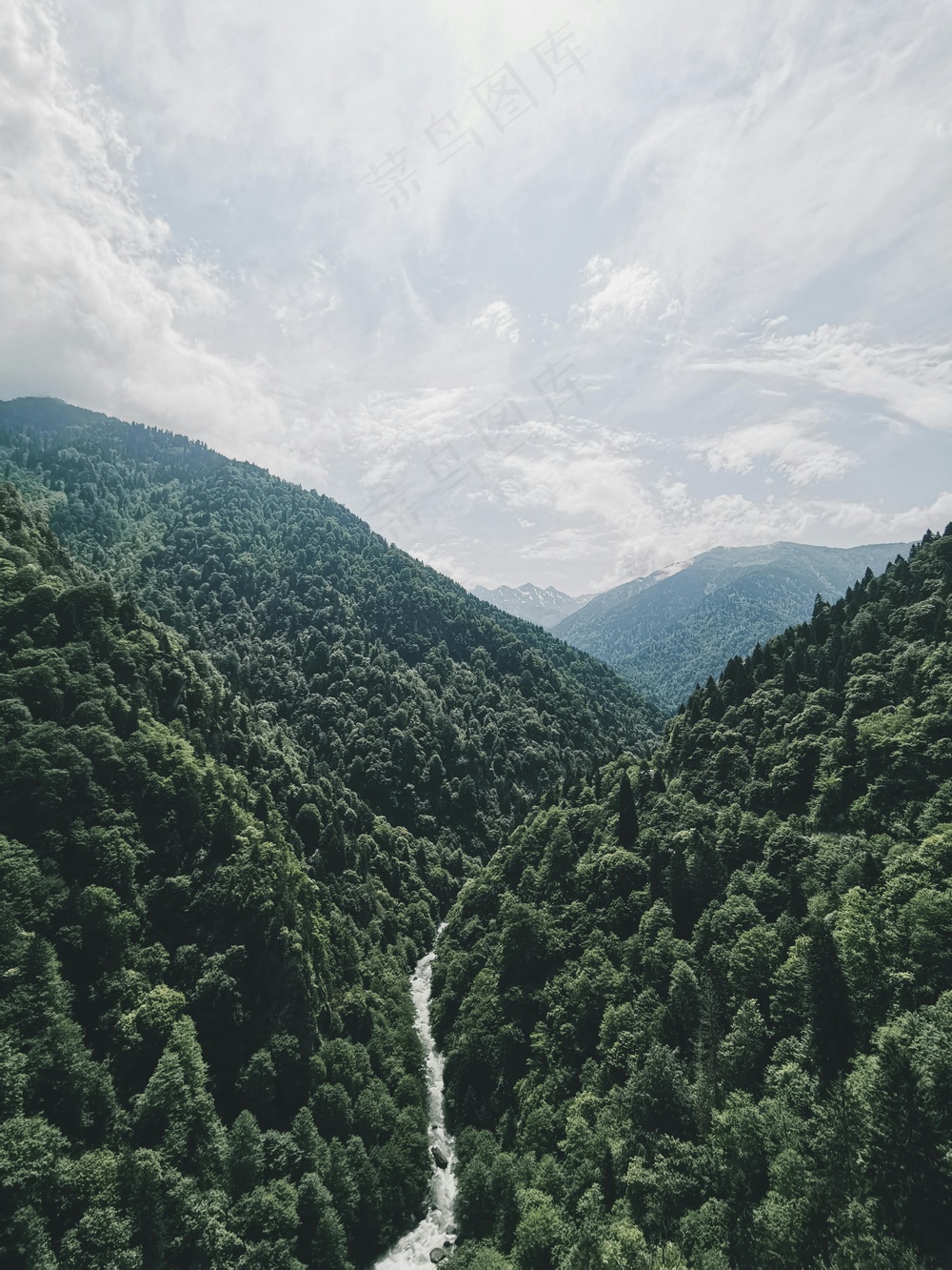 静谧山谷中绵延的小径