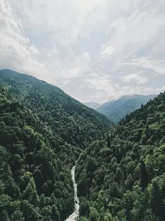静谧山谷中绵延的小径 静谧山谷中绵延的小径