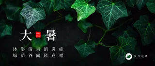 大暑公众号首图