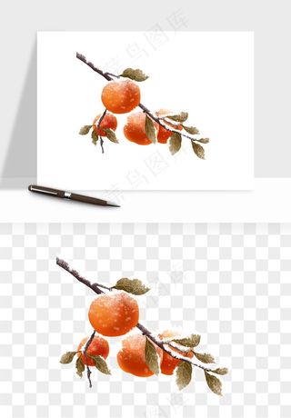 手绘柿子树秋png免抠