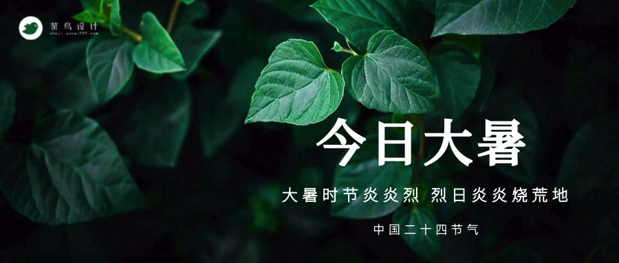 大暑公众号首图