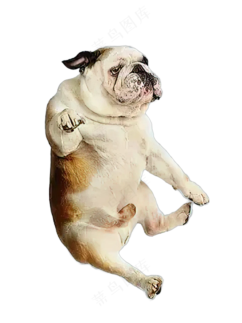 png免抠搞笑有趣动物