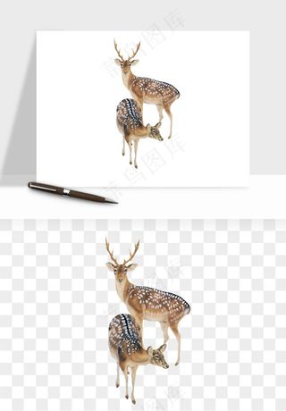 手绘梅花鹿小鹿麋鹿png免抠