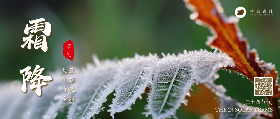 霜降公众号首图