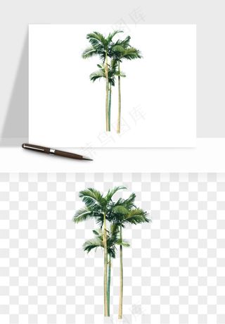 棕榈树椰树png免抠