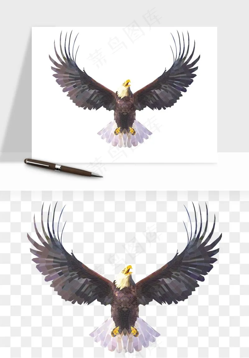 老鹰雄鹰展翅png免抠