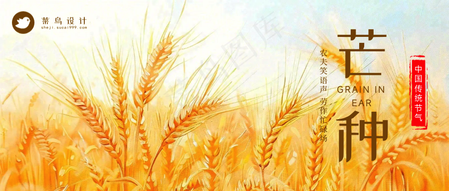 芒种公众号首图