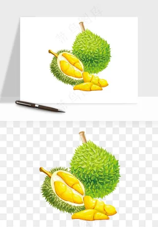 榴莲果肉水果png免抠