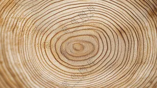 木质木头纹理背景