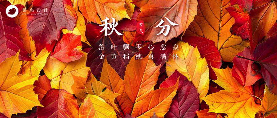 秋分公众号首图