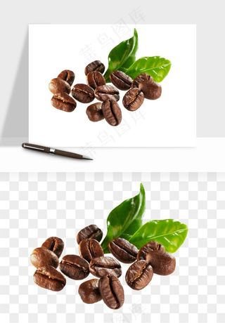 咖啡豆png免抠
