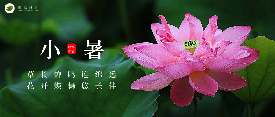 小暑公众号首图