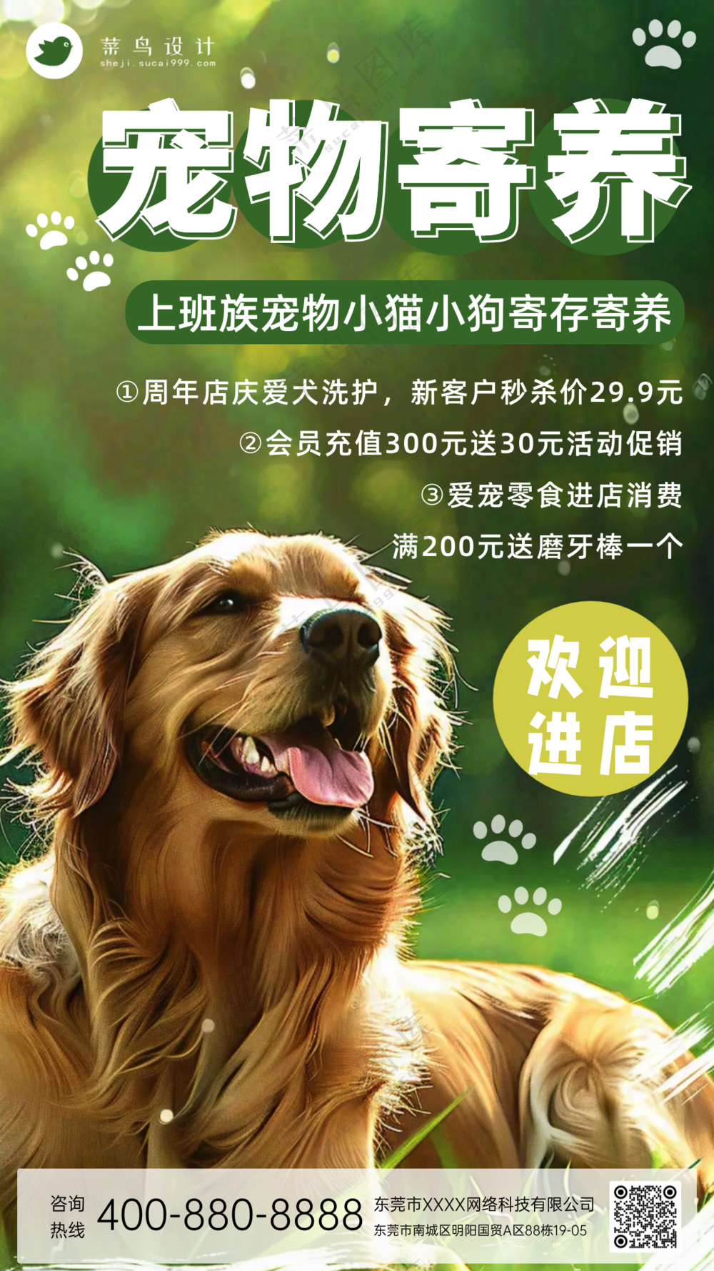 萌宠宠物寄养活动钜惠手机海报