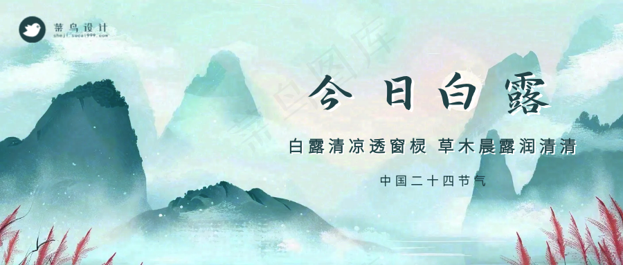 白露公众号首图