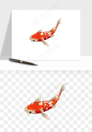 锦鲤鱼手绘水墨png免抠