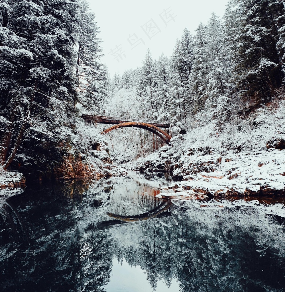 雪落森林之静谧溪流