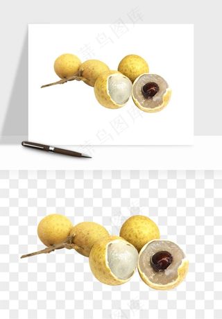 龙眼桂圆水果png免抠