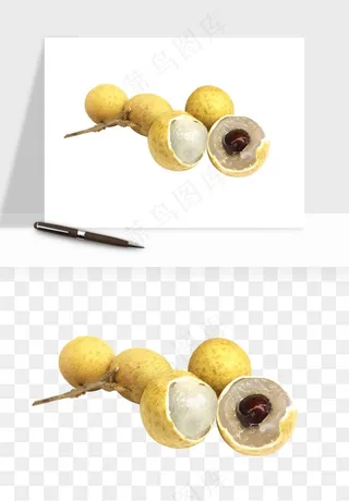 龙眼桂圆水果png免抠