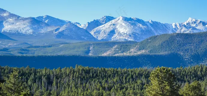 静谧森林雪域，自然之美尽收眼底