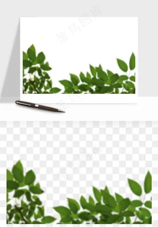 绿叶虚化前景树枝png免抠