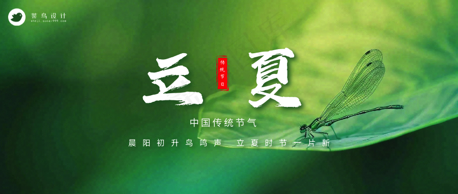 立夏公众号首图