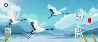 白露公众号首图