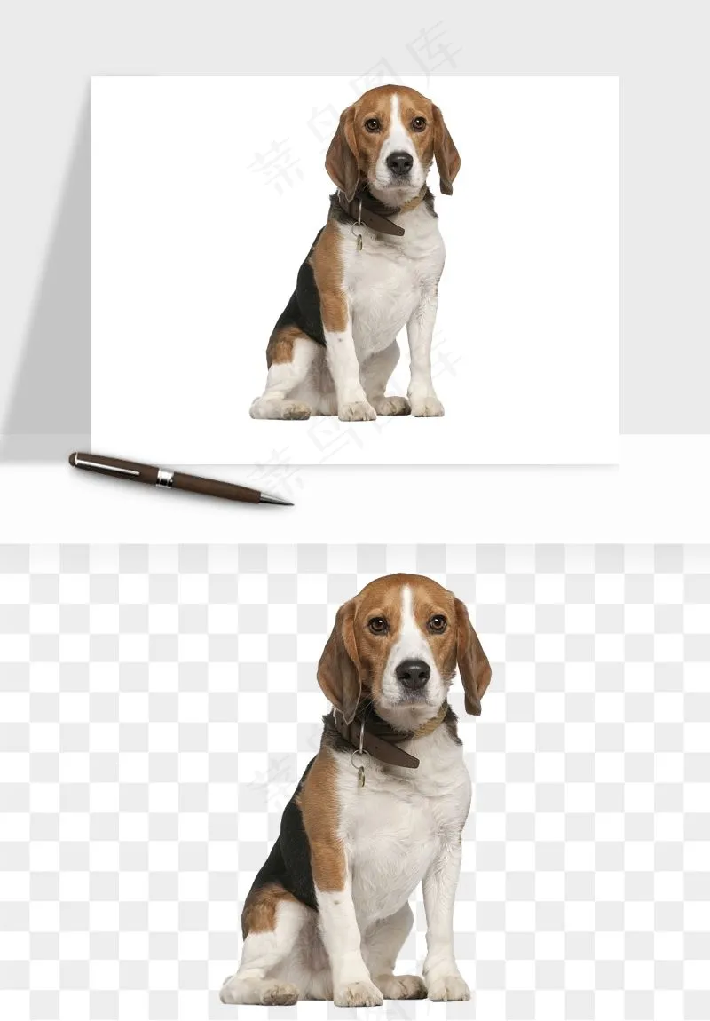 猫咪喵星人狗狗宠物元素png免抠