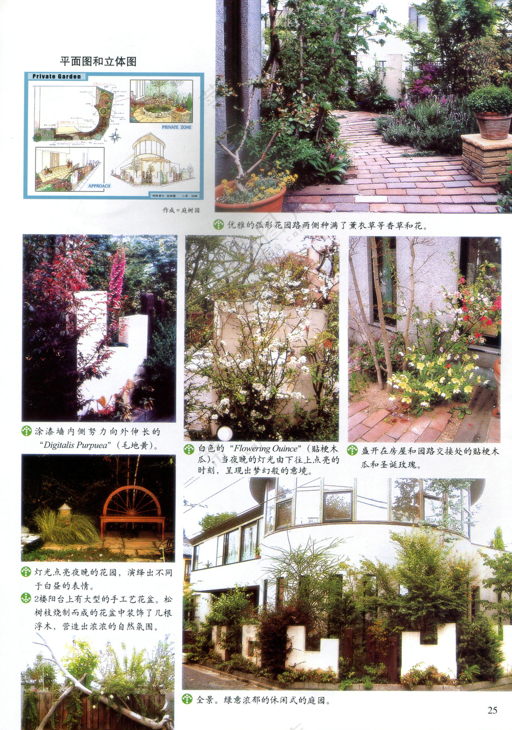 地中海风格花园