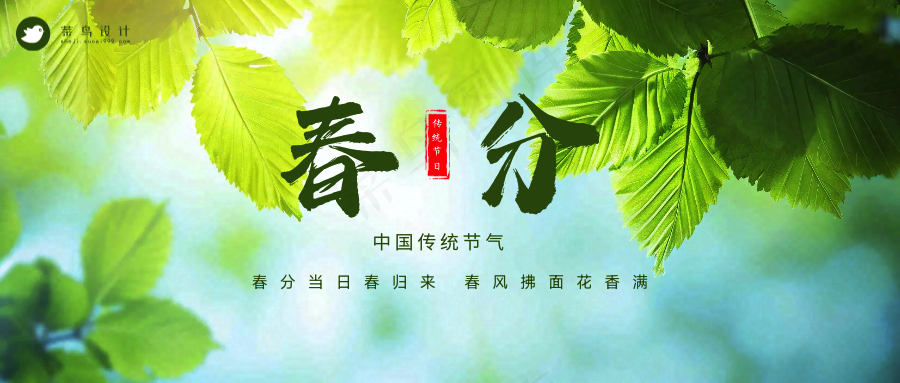 春分公众号首图