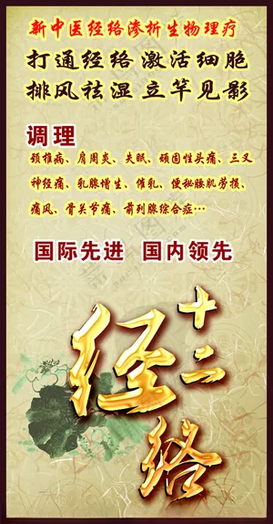 十二经络通经络广告设计