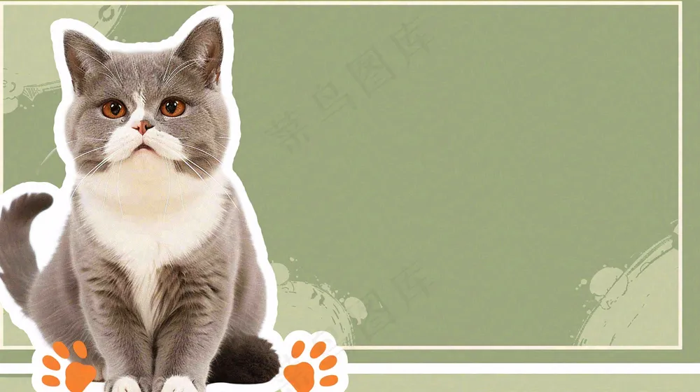 宠物生活馆猫狗卡通插画背景