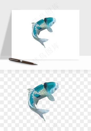 锦鲤鱼手绘水墨png免抠
