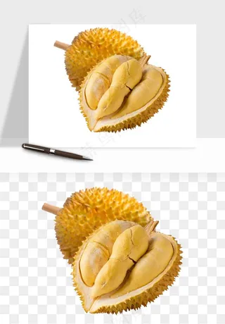 榴莲果肉水果png免抠