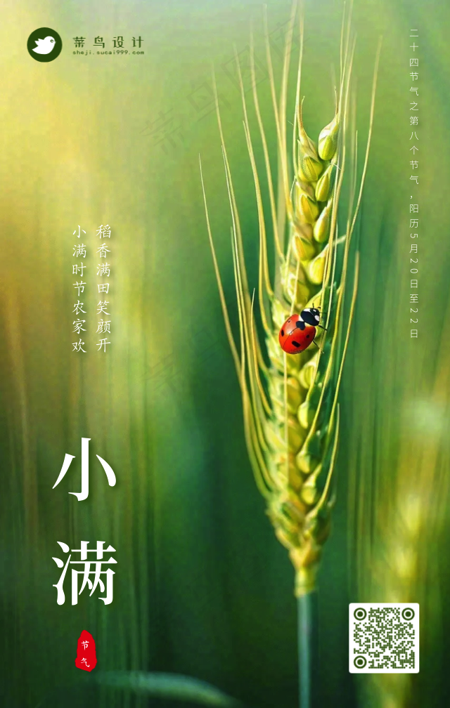 小满手机海报
