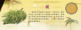 稷海报 杂粮广告纯粮酿造