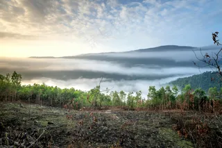 晨光下的山丘：自然恢复的宁静画卷
