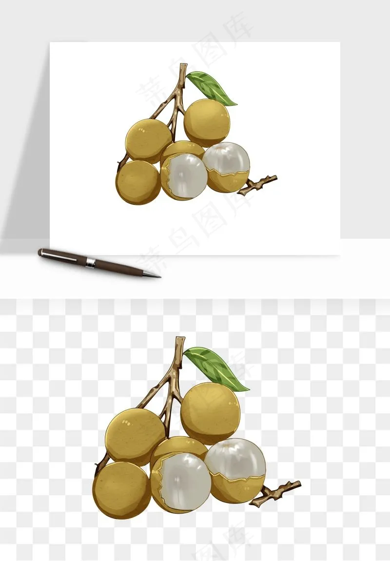 龙眼桂圆水果png免抠