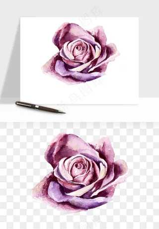 水彩复古花卉png免抠